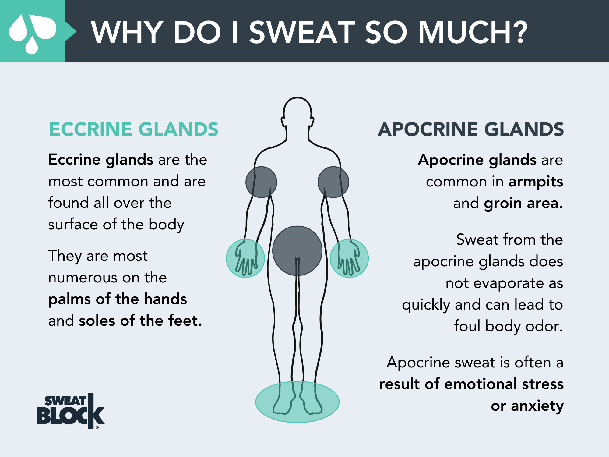 why do i sweat so much graphic